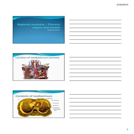 Thoracic organs and vessels