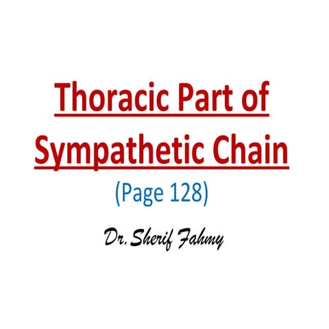 Thoracic part of Sympathetic Chain (Anatomy of the Thorax)