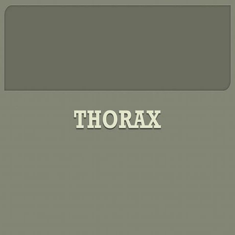 THORAX OS powerpoint