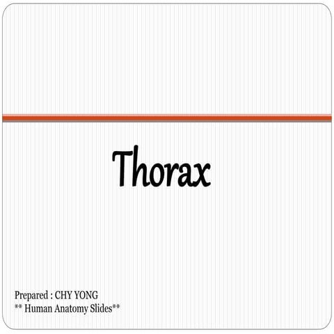 Thorax