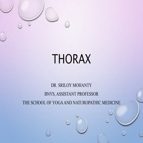Thorax