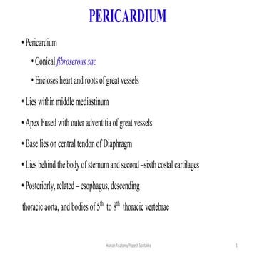 Thorax20Chapter201120Pericardium20Newpdf.pdf