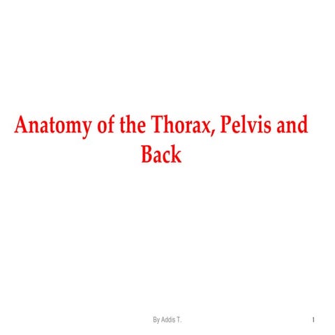 thorax cage.pptx