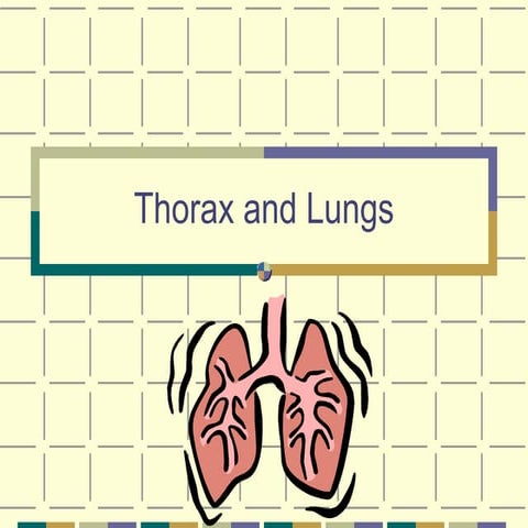 NurseReview.Org Thorax & Lungs