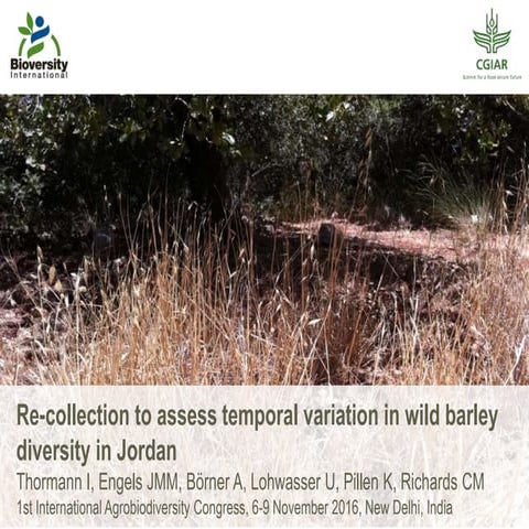 Re-collection to assess temporal variation in wild barley diversity in Jordan