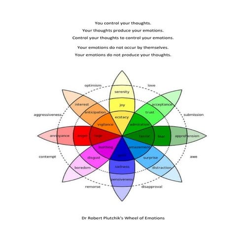 MIL - Similarities and Differences.pptx
