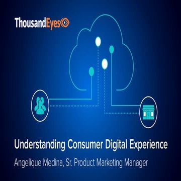 Monitoring Consumer Digital Experience
