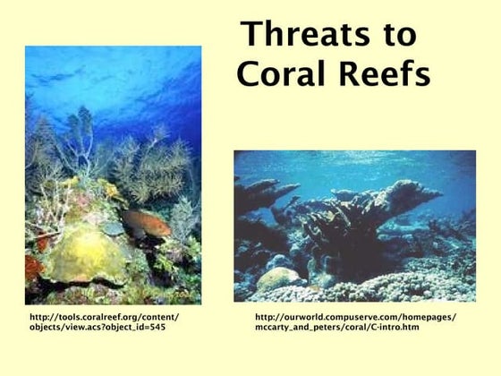Threats to coral reef | PPT