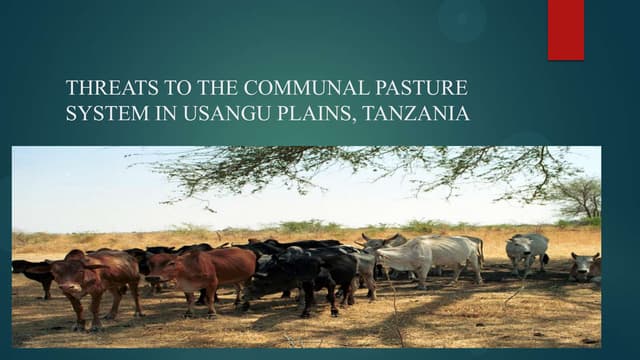 Threats to the communal pasture system in usangu roll 29 31