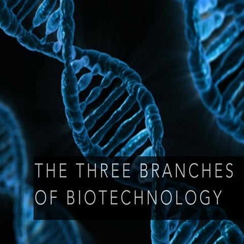 The Three Branches of Biotechnology 