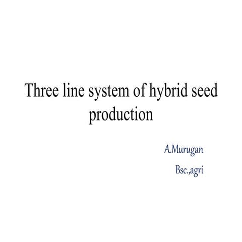 Three line system of hybrid seed production