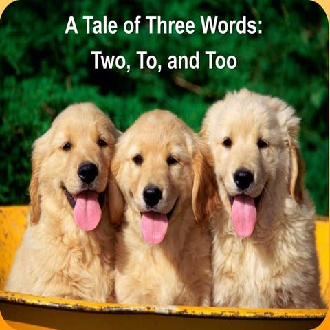 There, Their, and They're