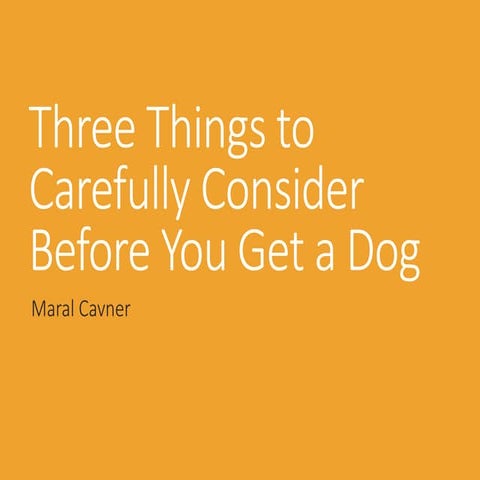 Three Things to Carefully Consider Before You Get a Dog