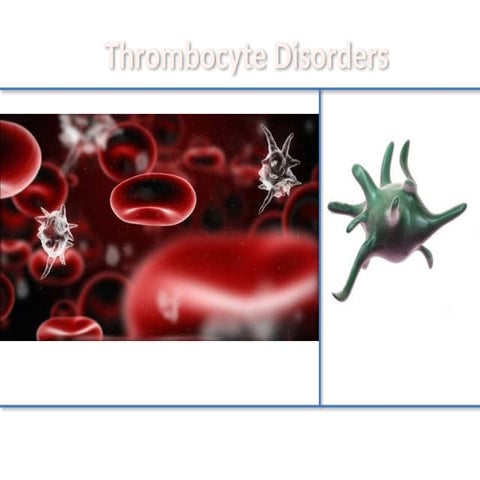 Thrombocyte disorders and assessment in children.pptx