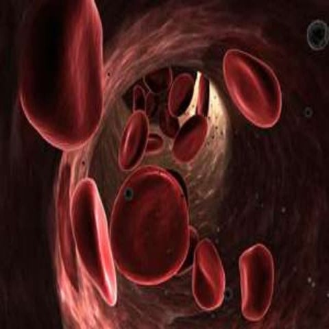 thromboelastography-140913060041-phpapp02.pdf