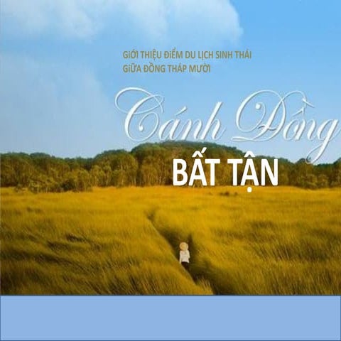 Thuc tap lam ebook