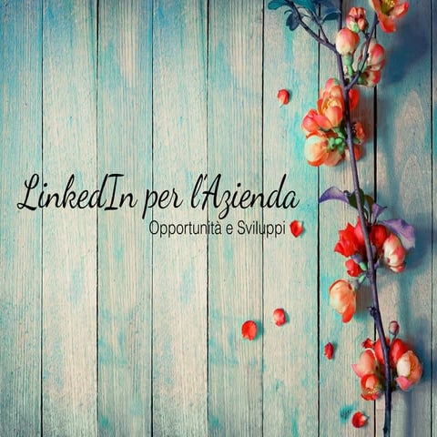 LinkedIn e l'Azienda: opportunità e sviluppi