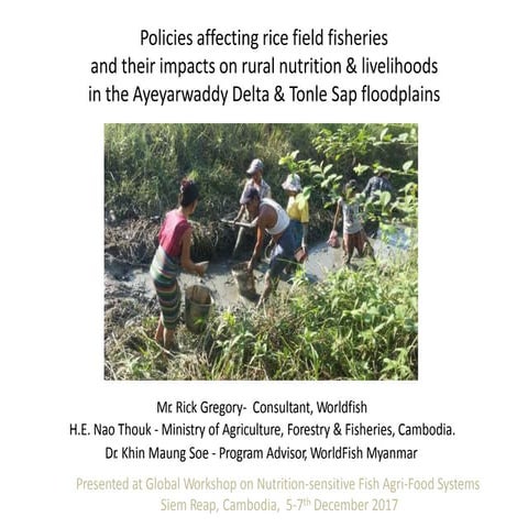 Policies affecting rice field fisheries and their impacts on rural nutrition ...
