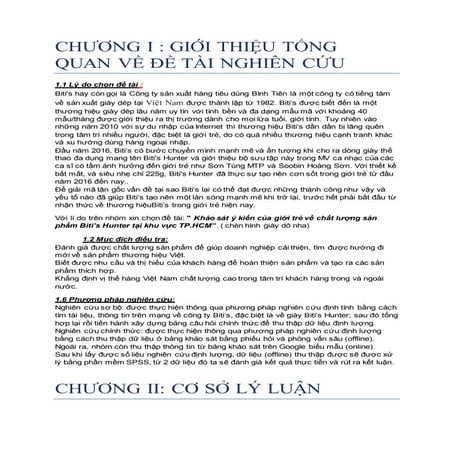 Khảo sat ý kiến khách hàng về thương hiệu Biti's Hunter