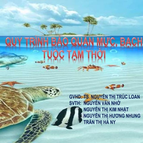 Thuyết minh qui trình bảo quản mực, bạch tuộc tạm thời