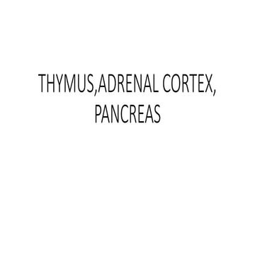 THYMUS anatomy and physiology presentation