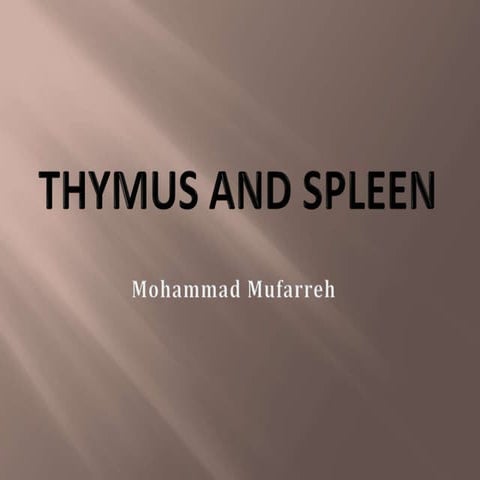 Thymus gland and spleen by Mohammad Mufarreh