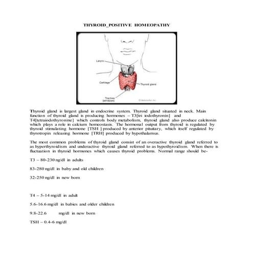 THYROID_POSITIVE HOMEOPATHY