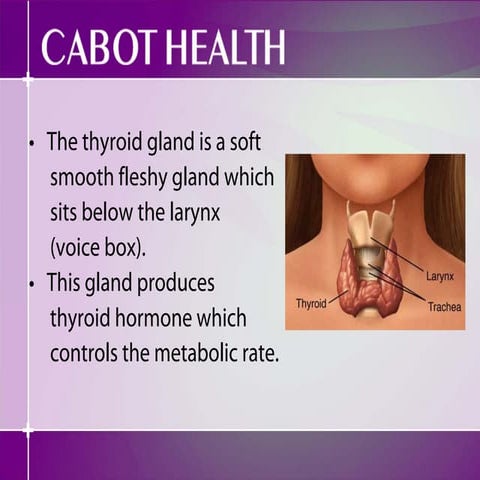 Thyroid Health