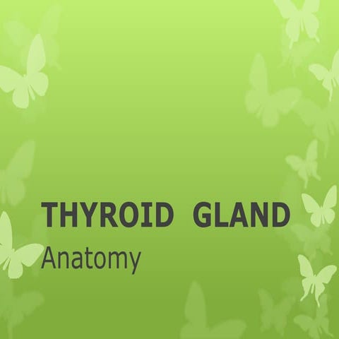 Thyroid gland anatomy