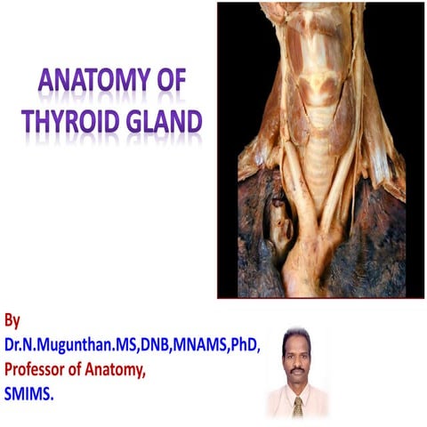 Thyroid gland integrated lecture Dr.N.Mugunthan | PDF