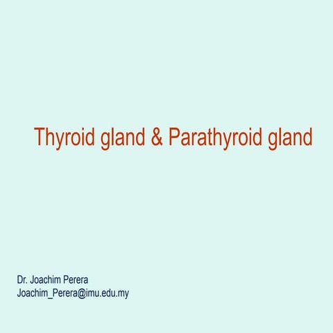Thyroid gland and parathyroid gland.pptx