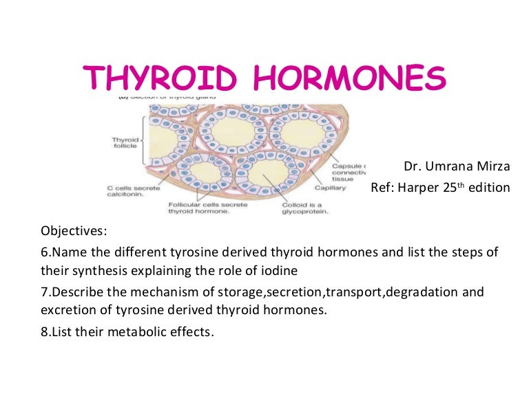 Thyroid Hormones Females