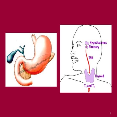 Thyroid, pancreatic & gastric function test
