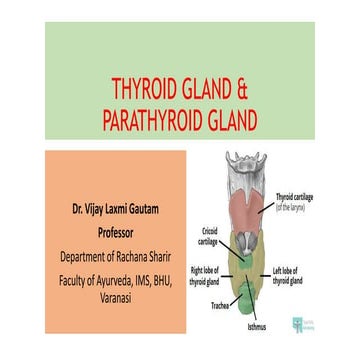 Anatomy of Thyroid and Parathyroid gland | PPT