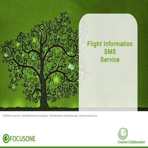 Flight SMS Service