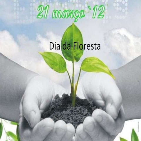 Dia da Floresta -Tiago 5.º G