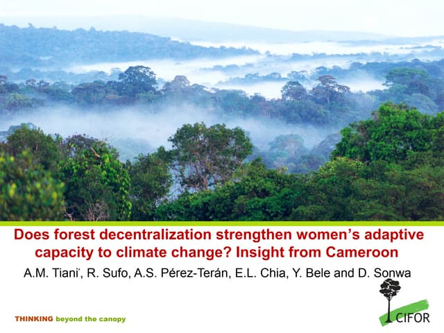 Does forest decentralization strengthen women’s adaptive capacity to climate change? Insight from Cameroon 