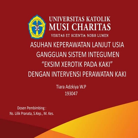 Asuhan keperawatan lanjut usia  gangguan sistem integumen eksim xerotik pada kaki dengan intervensi perawatan kaki di era pandemi covid 19 