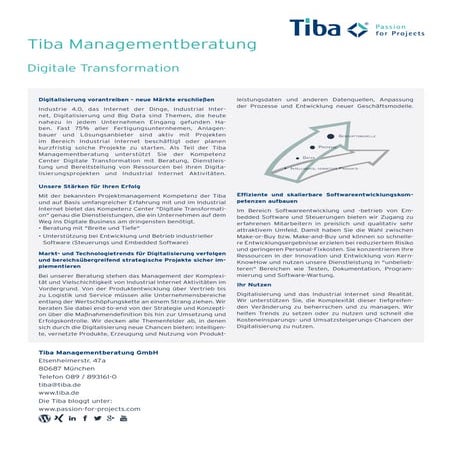 Tiba Managementberatung - Digitale Tranformation