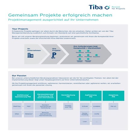 Tiba Managementberatung - Projektmanagement
