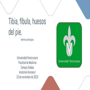 Tibia, fíbula, huesos del pieSCRIBDD.pptx