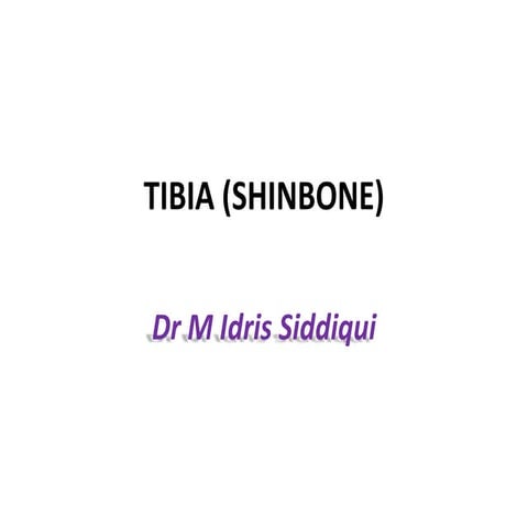 tibiashinbone-180421095730.pdf