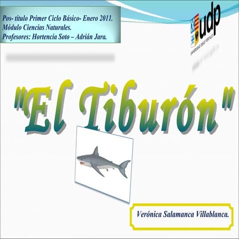 Tiburon final