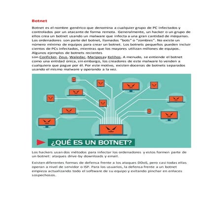 ¿Qué es una botnet? | PDF