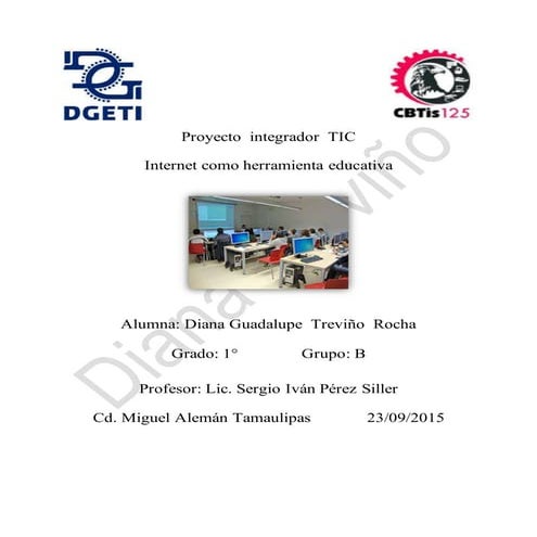 Tic diana treviño rocha1