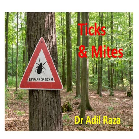 Ticks & Mites