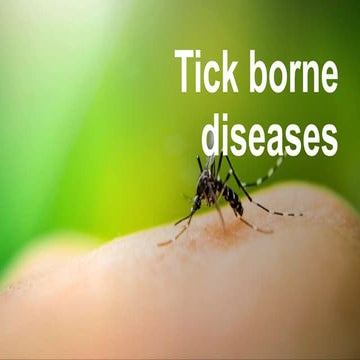 Tick borne diseases