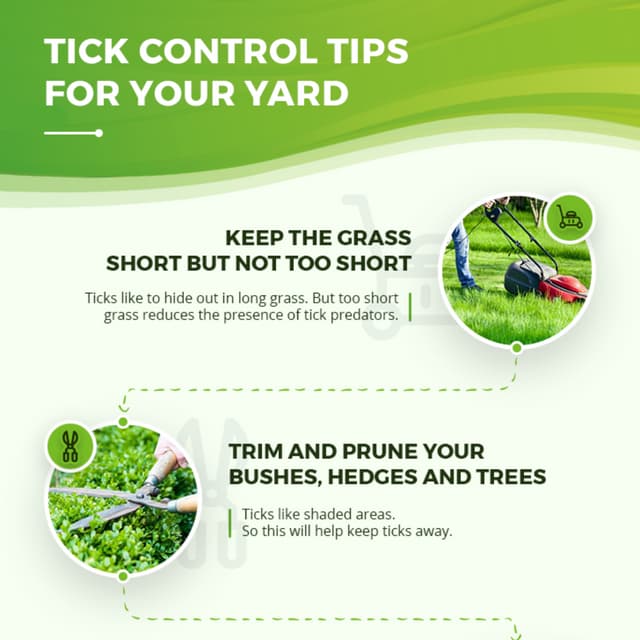 Tick bite first aid | PDF