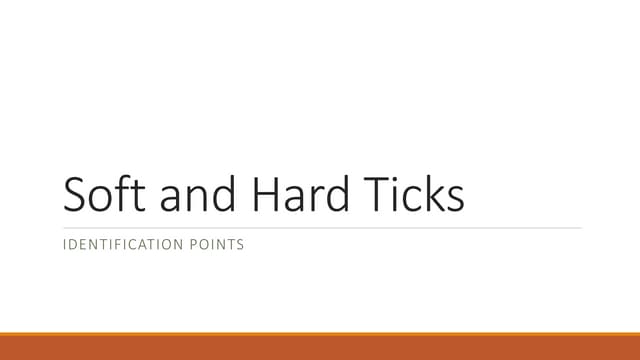 Ticks identification