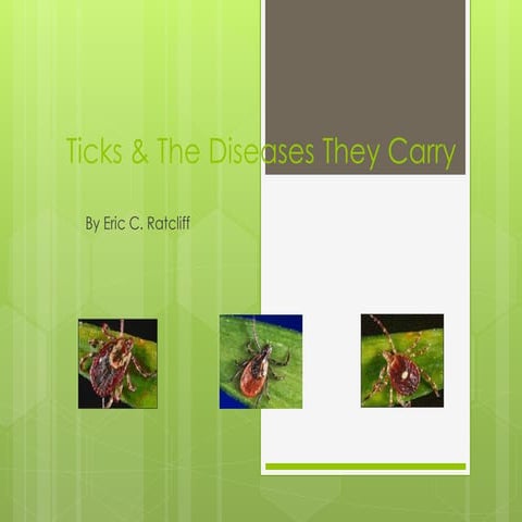 Ticks and the Diseases they Carry